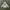 GAP Y2K Skater Hoody Pria white photo 1