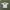 Champion Vintage Y2K Windbreaker Pria white gray photo 3