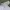 Champion Vintage Y2K Windbreaker Pria white gray photo 2