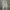 Minimalist Casual Wanita gray photo 1