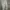 Minimalist Casual Wanita gray photo 2