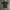 Nike Sportswear Jersey Pria White Black