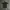 Nike Sportswear Jersey Pria white black photo 6