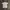 Nike Skater Sportswear T-shirt Pria gray photo 5
