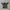 Nike Streetwear Sportswear Jersey Pria gray yellow photo 1