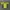 Nike Vintage Y2K T-shirt Pria yellow photo 1