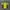 Nike Vintage Y2K T-shirt Pria yellow photo 6