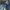 Rick Owens Casual Jeans Pria blue photo 5