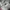 New Balance Streetwear Sportswear Sneakers Wanita white tan photo 2