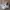 New Balance Streetwear Sportswear Sneakers Wanita white tan photo 1