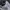 New Balance Sportswear Indie Sneakers Wanita white gray photo 2