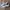 Adidas Indie Casual Sneakers Pria white green photo 1
