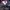 Canterbury Casual Sweater Pria navy photo 3