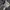 Asics Sportswear Indie Sneakers Pria white tan photo 5
