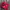 Adidas Indie Casual Sneakers Pria white red photo 3