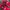 Adidas Indie Casual Sneakers Pria white red photo 4