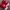 Adidas Indie Casual Sneakers Pria white red photo 6