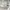 Nike Streetwear Sportswear Sneakers Wanita White