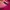 Gorpcore Hoody Wanita pink photo 6