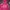 Gorpcore Hoody Wanita pink photo 1