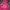 Gorpcore Hoody Wanita Pink