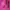Gorpcore Hoody Wanita pink photo 5