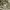 Japanese brand Y2K Luxury Shirt Wanita khaki photo 7