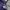 Montbell Gorpcore Fleece Pria purple photo 8