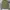 Fred Perry Casual Sweatshirt Pria green photo 1