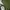 Pedro Vintage Y2K Handbag Wanita green photo 4