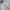 Vintage Track jacket Wanita white photo 3