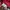 Karl Kani Y2K Track jacket Pria red photo 3