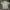 Adidas Streetwear Sportswear T-shirt Pria white green photo 1