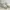 Balenciaga Streetwear Casual Sneakers Wanita White Cream