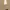 Bershka Y2K Minimalist Flare pants Wanita multicolor tan photo 1