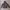 Gorpcore Puffer jacket Pria green photo 3