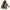 GAP Vintage Casual Parka Pria brown photo 4