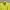 Vintage Cosplay Blazer Wanita green photo 2