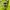 Vintage Cosplay Blazer Wanita green photo 3