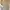 Luxury Minimalist Midi dress Wanita cream photo 2