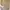 Luxury Minimalist Midi Dress Wanita Cream