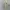 Luxury Minimalist Midi dress Wanita cream photo 1