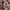 Japanese brand Lolita Coquette Maxi dress Wanita burgundy cream photo 2