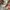 Japanese brand Lolita Coquette Maxi dress Wanita burgundy cream photo 4