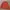 Schott NYC Gorpcore Casual Parka Pria orange photo 2