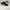 Nike Sportswear Sneakers Pria white black photo 4