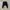 Casual Sweatshirt Wanita black photo 1