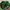 New Era Sportswear Casual Hat Pria green photo 4