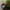 New Era Sportswear Casual Hat Pria green photo 2