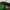 New Era Sportswear Casual Hat Pria green photo 6